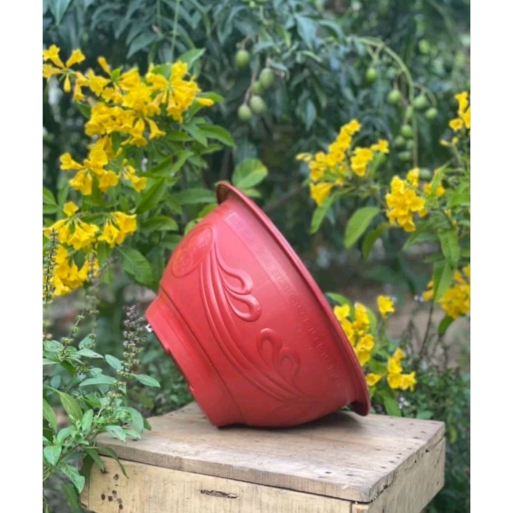 [ Combo 10 cái ] Chậu nhựa T38 dày dặn ( miệng 36cm cao 20cm ) chậu hoa dầy dặn trồng cây cảnh