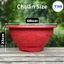 Chậu nhựa T48 loại dày [ Miệng 46cm Cao 25cm ] Chất liệu dày dặn chậu xuất khẩu