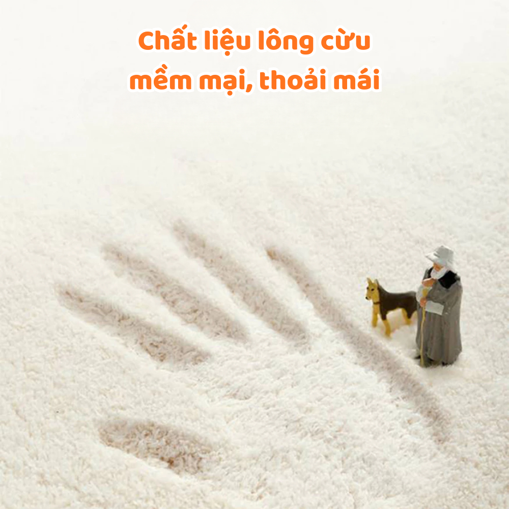 Thảm Lau Chân Nhà Tắm Cashmere Lông Cừu Siêu Thấm Hút, Thảm Lau Chân Hoạt Hình Dễ Thương 40*60cm