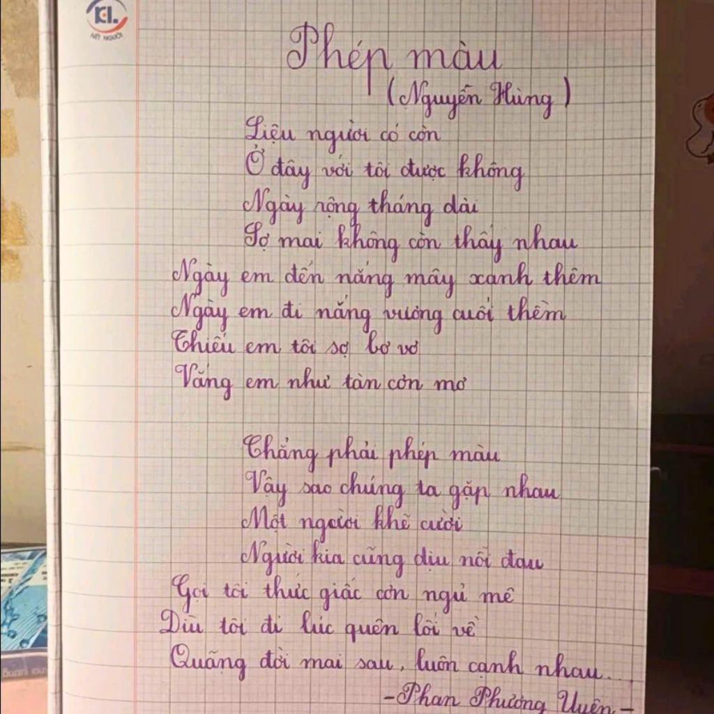 Bút Máy Luyện Chữ Đẹp T-09 Ngòi Lá Tre Kim Tinh - Nét Thanh Đậm Sắc Sảo, Thân Trong Suốt Cho Học Sinh Tiểu Học