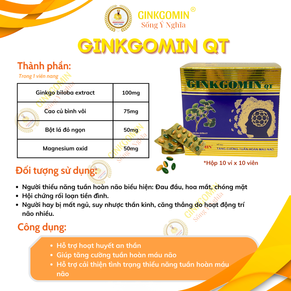 Hộp 100 Viên Ginkgomin QT Hỗ Trợ Tuần Hoàn Máu Não, Thiểu Năng Tuần Hoàn Máu Não G04