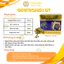 Hoạt Huyết Dưỡng Não GinkGomin QT Tuần Hoàn Máu Não, Cải Thiện Trí Nhớ, Tập Trung, An Thần, Hộp 100 Viên G04