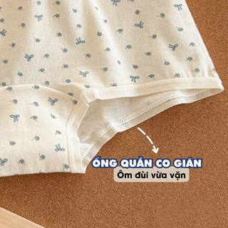 [ MẪU MỚI ] Combo 6 Quần Lót Nữ Cotton Mềm Mại, Set Quần Chip Đáy May Kháng Khuẩn AMYBRA New