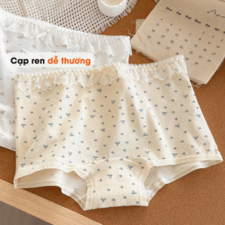 [ MẪU MỚI ] Combo 6 Quần Lót Nữ Cotton Mềm Mại, Set Quần Chip Đáy May Kháng Khuẩn AMYBRA New