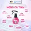 Xịt Thơm Vải & Khử Mùi Phòng HABY - Hương Nước Hoa, Lưu Hương Lâu, Khử Mùi Hiệu Quả
