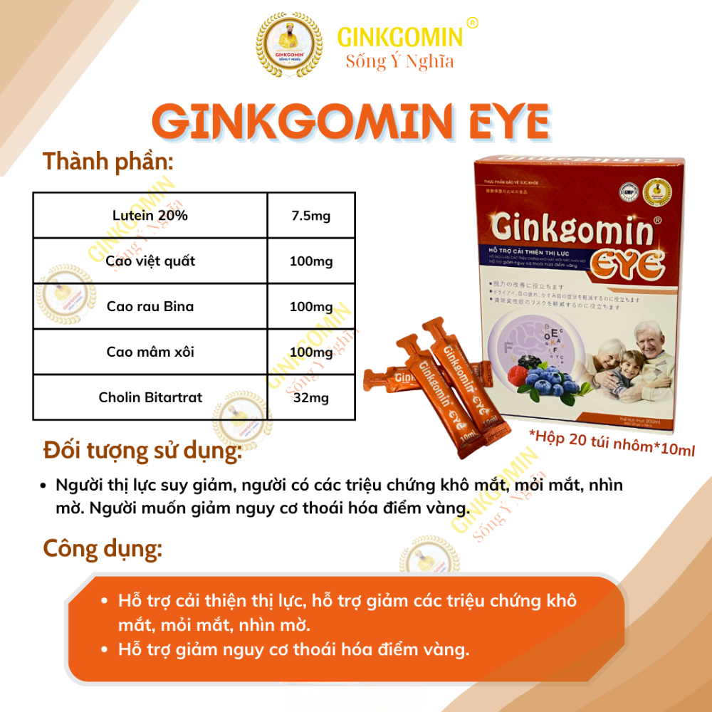Ginkgomin EYE Hỗ Trợ Giảm Các Triệu Chứng Khô Mắt Mỏi Mắt Nhìn Mờ Bổ Sung Vitamin Cho Mắt G08