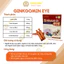 Thức Uống Bổ Mắt Ginkgomin EYE Hỗ Trợ Tăng Cường Thị Lực, Giảm Khô Mắt, Mỏi Mắt, Nhìn Mờ, Bổ Sung Lutein G08