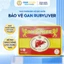 Viên Uống Giải Độc Mát Gan Rubyliver Hỗ Trợ Thải Độc, Detox Gan, Tăng Cường Chức Năng Gan G11