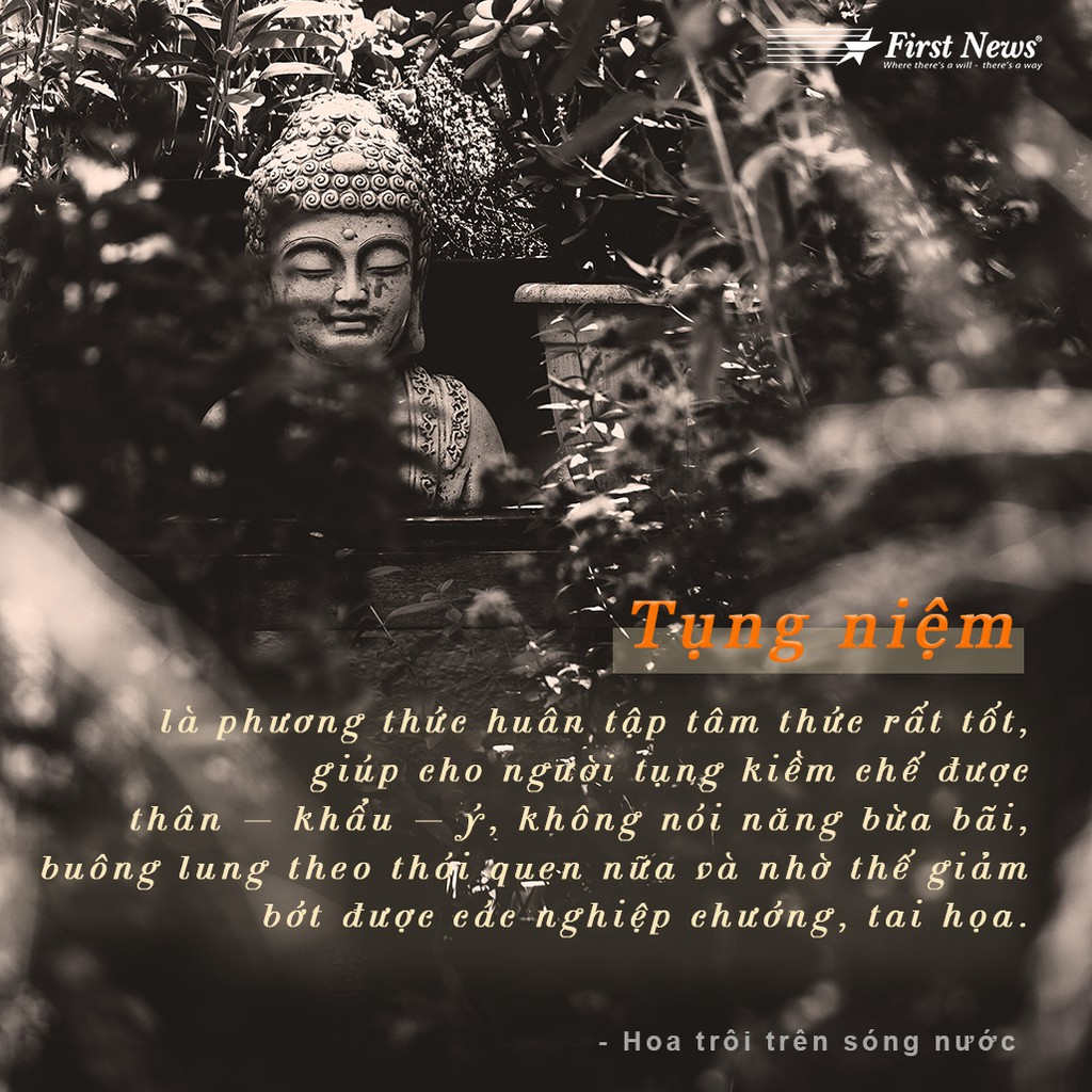 Sách Hoa Trôi Trên Sóng Nước - Nguyên Phong