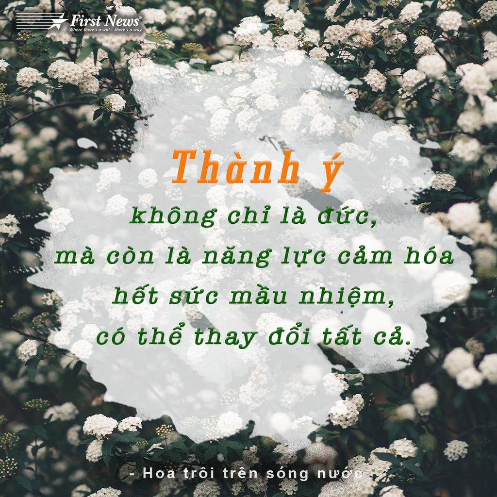 Sách Hoa Trôi Trên Sóng Nước - Nguyên Phong