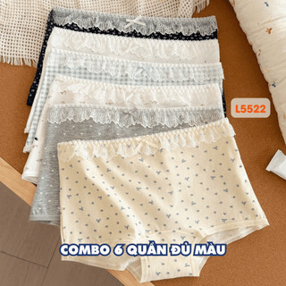 [ MẪU MỚI ] Combo 6 Quần Lót Nữ Cotton Mềm Mại, Set Quần Chip Đáy May Kháng Khuẩn AMYBRA New