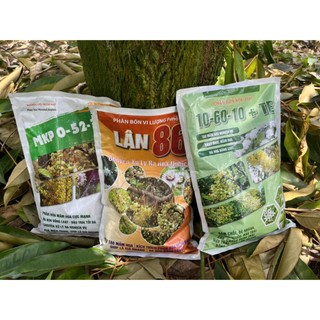 Lân 86 - Phân bón chuyên dụng kích thích mầm hoa, xử lý ra hoa nghịch vụ, gói 1kg cho hiệu quả cao.