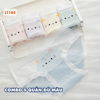 [ BST HÈ ] Combo 5 Quần Lót Đáy May Kháng Khuẩn, Set 5 Quần Chip Cotton Mềm Mại Co Giãn AMYBRA New