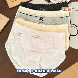 [ BST HÈ ] Combo 5 Quần Lót Đáy May Kháng Khuẩn, Set 5 Quần Chip Cotton Mềm Mại Co Giãn AMYBRA New