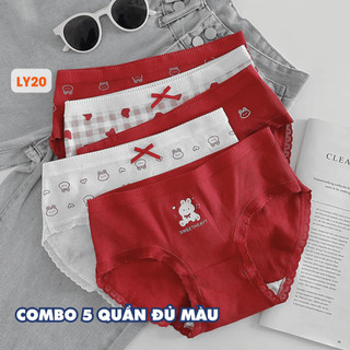 [ MẪU MỚI ] Combo 5 Quần Lót Cotton Ôm Mông, Set 5 Quần Chip Nữ Đáy May Kháng Khuẩn AMYBRA New