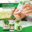 Viên uống giúp ổn định đường huyết, cải thiện tình trạng rối loạn chuyển hóa TĐ care (Hộp 60 viên)