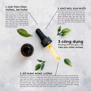 Tinh Dầu Mộc An Nhiên Xông Thơm Phòng - Khử mùi, thanh lọc không khí