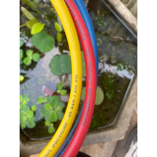 dây nạp gas có khoá đầu 6-8 thủy sĩ refco