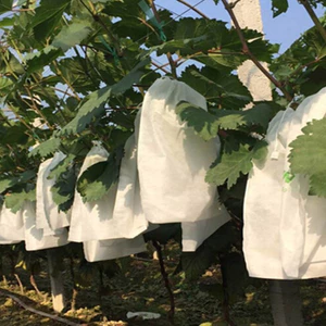 100 Túi Bọc Ổi Bưởi Xoài Na.,vú sữa,sầu riêng,mít chất liệu vải không dệt có dây rút siêu tiện lợi..