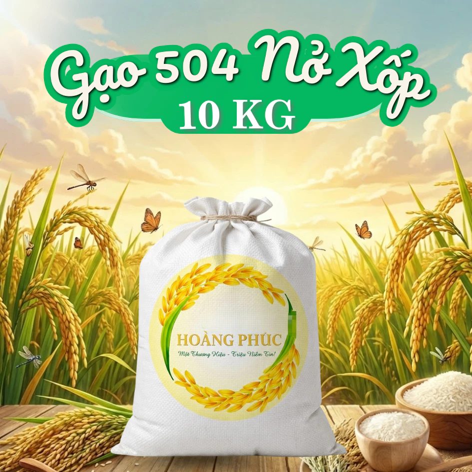 Gạo 504 Nở Xốp Khô Bao 10kg, Hạt Dài Bầu, Cơm Nở Nhiều