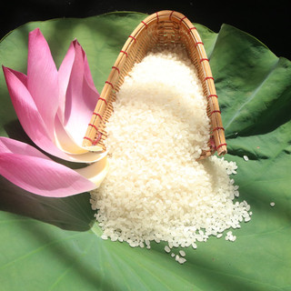 Gạo Dẻo Thơm Hạt Tròn 5kg Mềm Ngọt Cơm, Giàu Vitamin & Khoáng Chất | Gạo Thuần Nguyên TN30