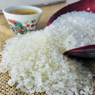 Gạo Dẻo Thơm Hạt Tròn 5kg Mềm Ngọt Cơm, Giàu Vitamin & Khoáng Chất | Gạo Thuần Nguyên TN30