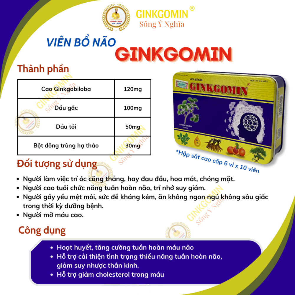 Hộp 60 Viên Bổ Não Ginkgomin Hỗ Trợ Tăng Cường Tuần Hoàn Máu G03