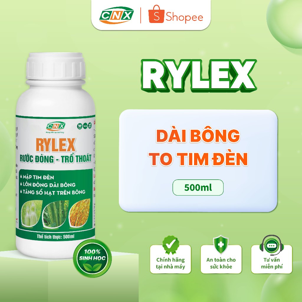 Rylex - Rước đòng trổ thoát đều 500ml | Shopee Việt Nam