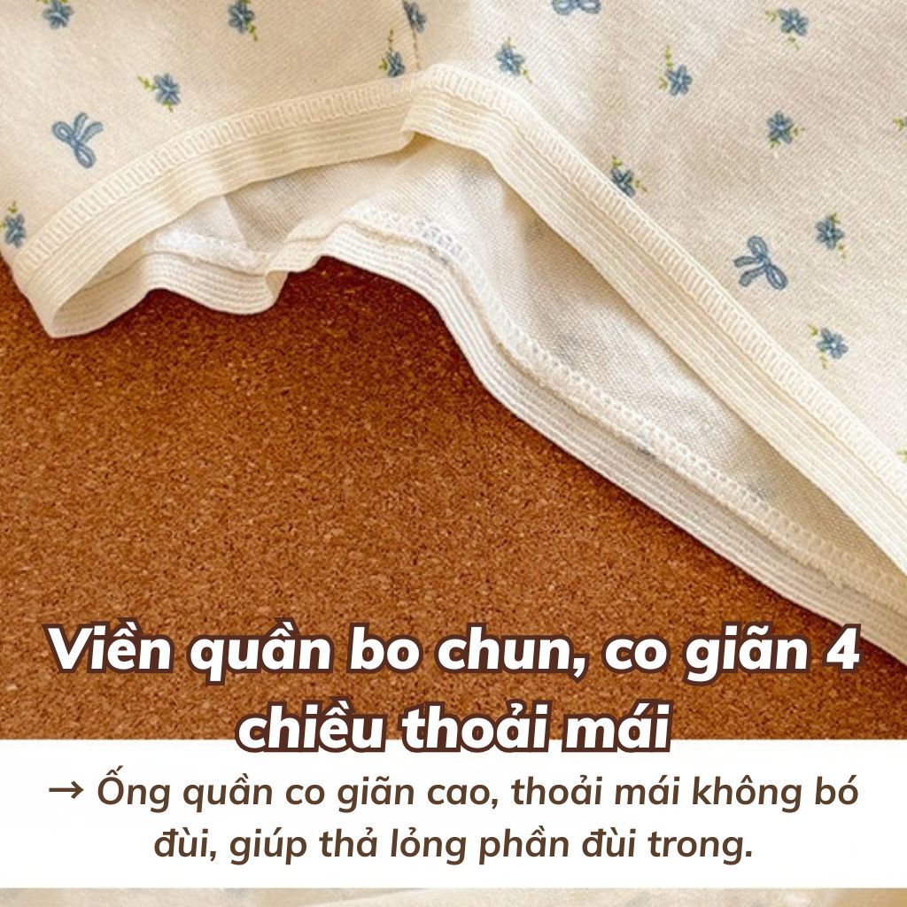 Quần lót nữ cotton cao cấp cạp viền ren sexy sang trọng gợi cảm cạp bo chun co giãn tốt LANIXA L5522