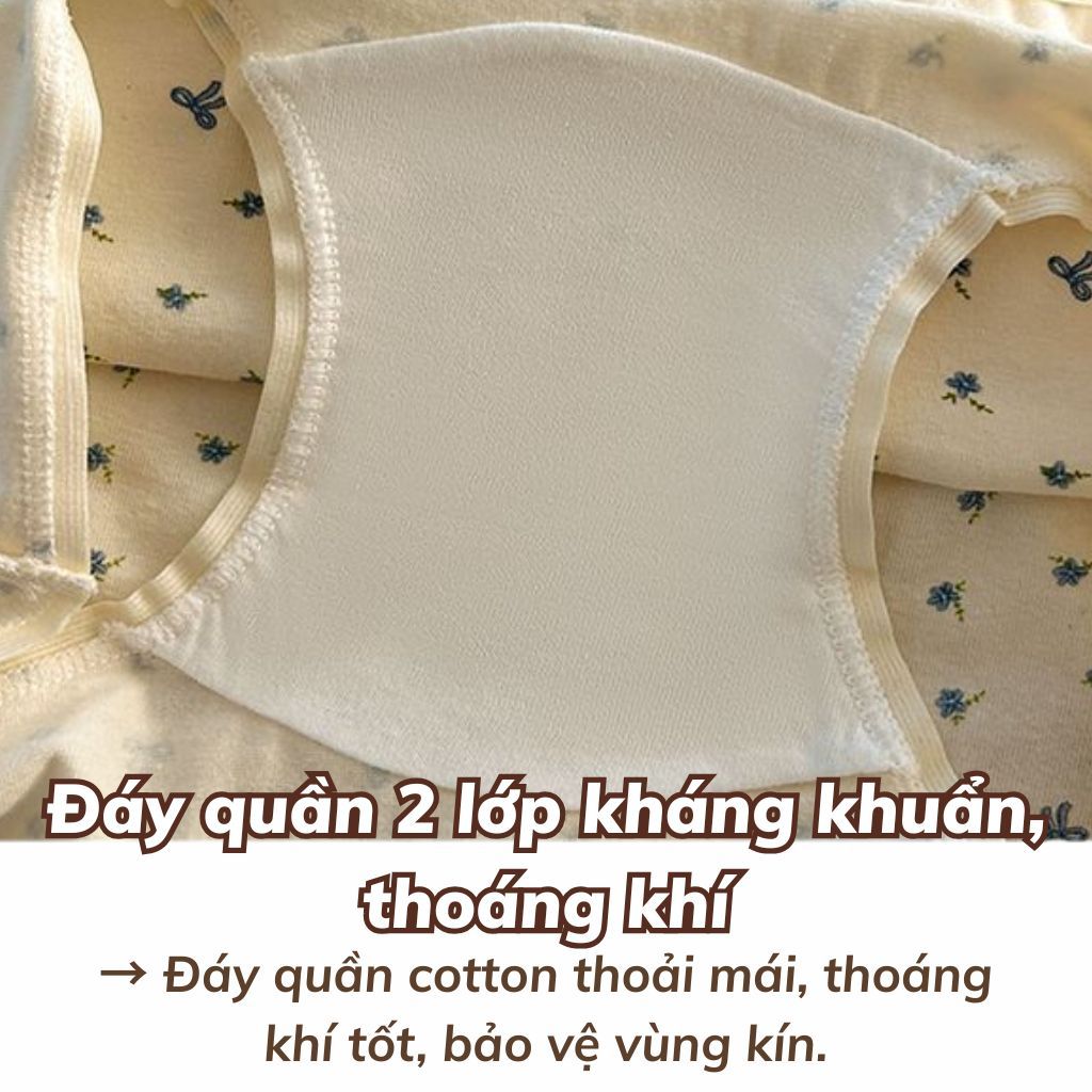 Quần lót nữ cotton cao cấp cạp viền ren sexy sang trọng gợi cảm cạp bo chun co giãn tốt LANIXA L5522