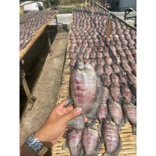 Khô Cá Sặc Bổi 500G - 3 Nắng Vị Lợ - Hút Chân Không - Vị Thơm Béo - Đặc Sản Cà Mau