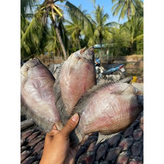 Khô Cá Sặc Bổi 500G - 3 Nắng Vị Lợ - Hút Chân Không - Vị Thơm Béo - Đặc Sản Cà Mau