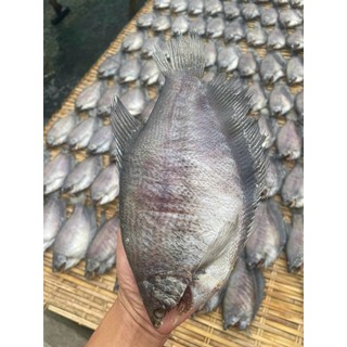 Khô Cá Sặc Bổi 500G - 3 Nắng Vị Lợ - Hút Chân Không - Vị Thơm Béo - Đặc Sản Cà Mau