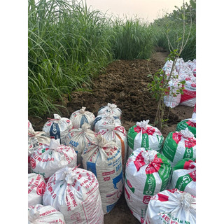 combo5kg phân gà mục ủ chấu đã qua xủ lý