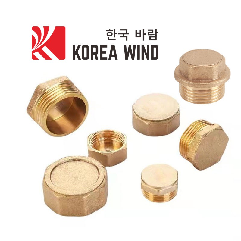 Nút bịt ống nước  (ren trong và ren ngoài), phụ kiện ống nước dùng để bịt kín các đường ống nước