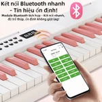 Gấp gọn như laptop, mang đi du lịch – Đàn piano bỏ túi cho người yêu âm nhạc! Cắm tai nghe là luyện tập thoải mái — ảnh 6