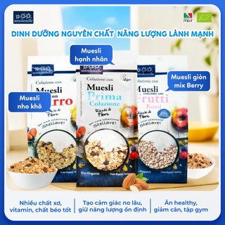 Ngũ Cốc dinh dưỡng Muesli hữu cơ Sottolestelle 350g