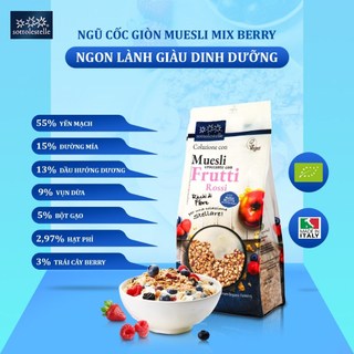 Ngũ Cốc dinh dưỡng Muesli hữu cơ Sottolestelle 350g