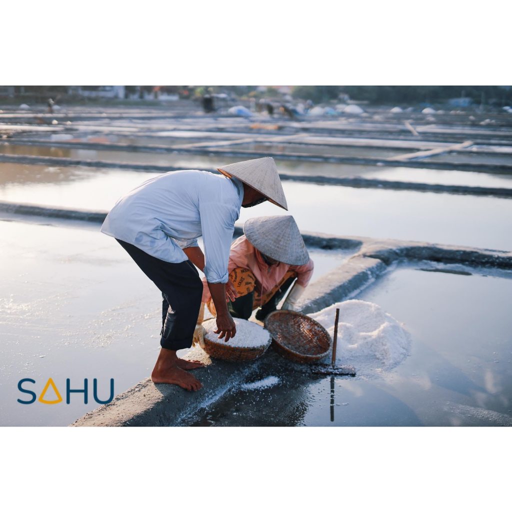 Muối hột Sahu từ ruộng muối truyền thống Sa Huỳnh - Quảng Ngãi_ muối biển thô tự nhiên giàu khoáng