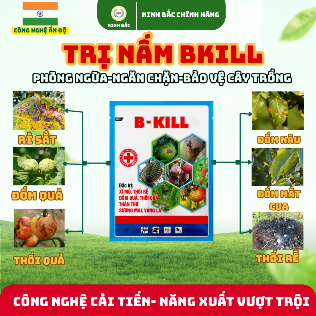 xỉ than giá tốt Tháng 7, 2026 | Mua ngay | Shopee Việt Nam