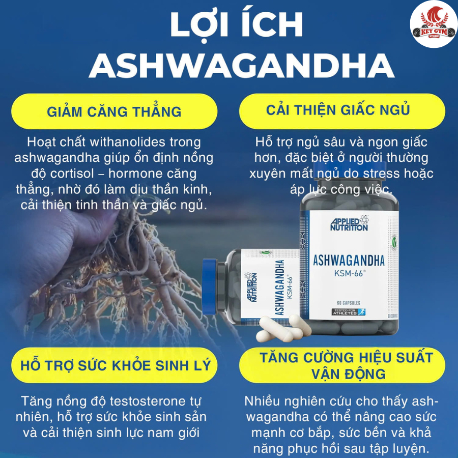 Giảm Stress, Tăng Tập Trung - Applied Nutrition Ashwagandha KSM-66 - 60 Viên - KEYGYM