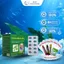 Viên Uống Bổ Não Ginkgo Biloba 120mg - Hoạt Huyết Dưỡng Não, Giảm Đau Đầu, Chóng Mặt (Hộp 100 Viên)