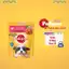 Pate cho chó Pedigree Loaf & Gravy 80g-130g dành cho chó con và chó trưởng thành