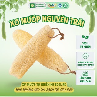 Xơ Mướp Nguyên Trái Lành Tính KB Ecolife Hoàn Toàn Tự Nhiên Không Chất Tẩy Trắng Và Hóa Chất Độc Hại