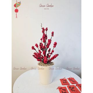 Chậu Đào Đông Trang Trí 40cm Kèm Set Treo – Decor Tết, Bàn Làm Việc, Kệ Nhà | Green Garden Decor