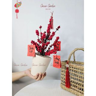 Chậu Đào Đông Trang Trí 40cm Kèm Set Treo – Decor Tết, Bàn Làm Việc, Kệ Nhà | Green Garden Decor