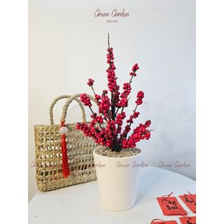 Chậu Đào Đông Trang Trí 40cm Kèm Set Treo – Decor Tết, Bàn Làm Việc, Kệ Nhà | Green Garden Decor