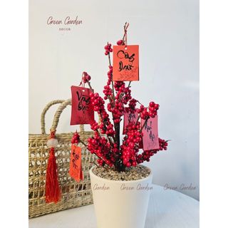 Chậu Đào Đông Trang Trí 40cm Kèm Set Treo – Decor Tết, Bàn Làm Việc, Kệ Nhà | Green Garden Decor