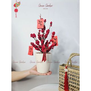 Chậu Đào Đông Trang Trí 40cm Kèm Set Treo – Decor Tết, Bàn Làm Việc, Kệ Nhà | Green Garden Decor