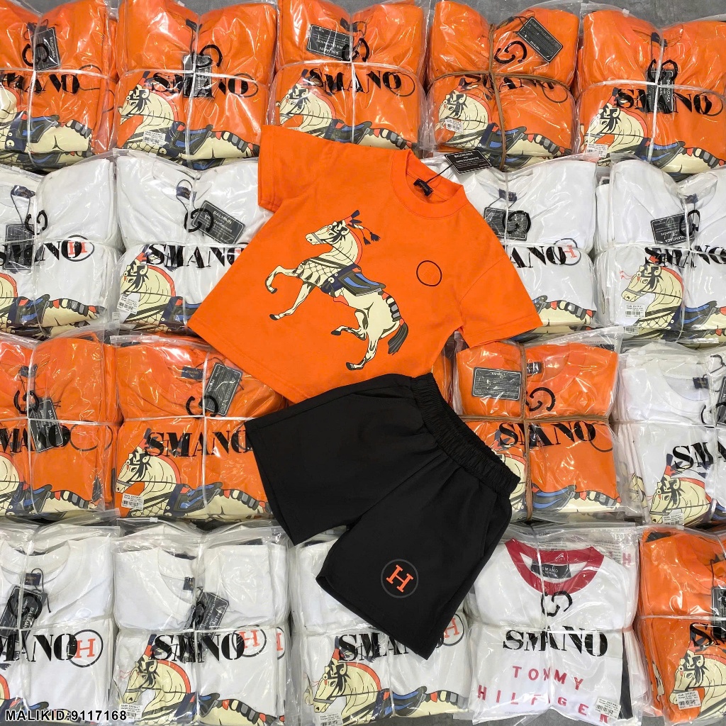 Bộ hè cotton bé trai in hình ngựa 2 màu hàng siêu đẹp-Bộ quần áo ngắn tay cho bé trai in hình cao cấp